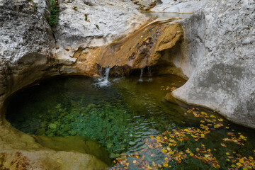 waterfall in the forest