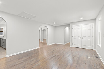 Luxury mansion foyer with modern archways