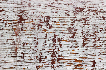 texture of old wood with peeled paint, use as background