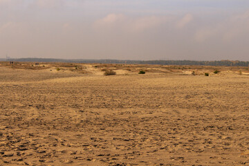 Autumn on Pustynia Błędowska. Blendow Desert in Poland.