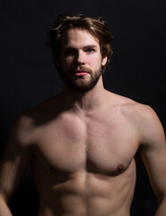 Fototapeta premium Portrait of young sexy handsome man with bare, torso, athletic gay, male model, muscular hot boy.