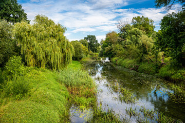 Fototapeta na wymiar River Barycz near village Osetno in Poland with green trees and grass on the shore