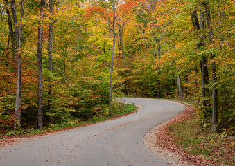 661-14 Cottage Row in Autumn
