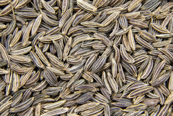 Carum seeds. Cumin seeds. Seeds of cummin. Super food. Vegeterian food. Healthy food. Macro view.