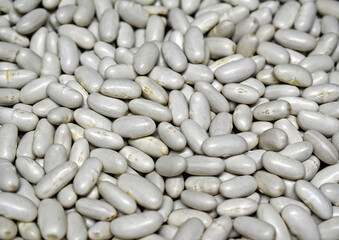 White raw beans texture background