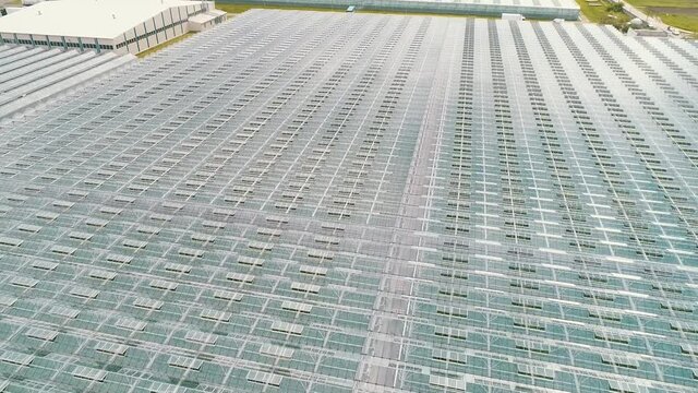 Aerial top view of greenhouse. Bird view with rotation over the glass roof. Indoor farming, heat recovery, power consumption and organic plant protection concept. Background video, copy space.