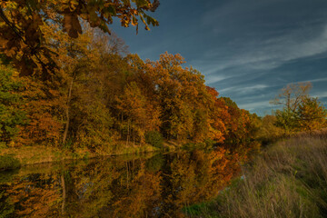 Fototapeta premium Autumn Malse river with color water and trees