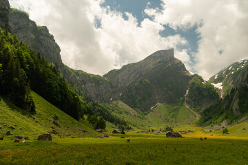 Appenzell, Switzerland, June 13, 2021 Mountain peak behind a fresh green meadow on a cloudy day