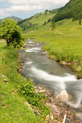 Naklejka na ściany i meble Appenzell, Switzerland, June 13, 2021 Little alpine river flows through a green meadow