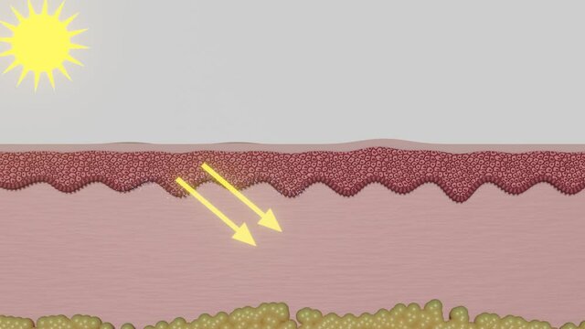 Sunburn | animation of the course