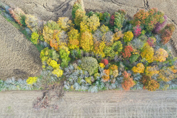 Fall Landscape Viewed from Drone in Canada