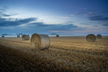 Paysage campagne 1106