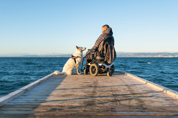 Service dog and man with disability on wheelchair outside on sun.