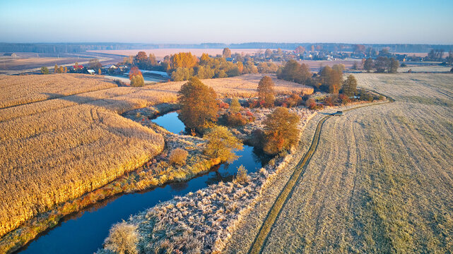 Autumn rural landscape. Frost on grass. River, Corn field, meadow, village, fall color trees
