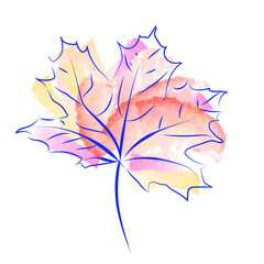 Vector maple leaf painted watercolor