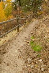 An autumn forest path leading uphill with an old fence made from wooden poles bordering the trail.