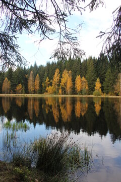 Herbst am Vogtlandsee bei Auerbach.