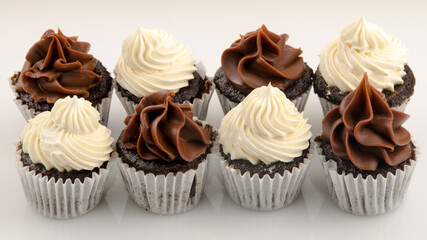 miniature chocolate cupcakes with chocolate and vanilla topping-553.dng