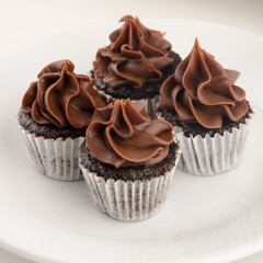 deliciuos and pretty miniature cupcakes with chocolate topping