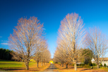 Obraz premium Fall colors in the Canadian countryside in the province of Quebec