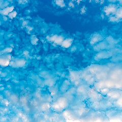 small cirrus clouds scattered by the wind across the blue sky as a natural background