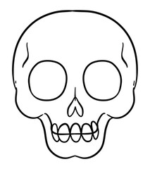 Common skull in frontal view and outlines, Vector illustration