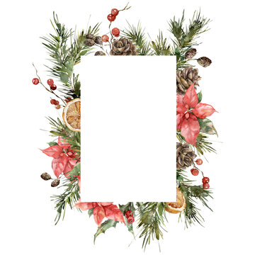 Watercolor Christmas vertical frame of poinsettia, spruce branches, cones and lemon. Hand painted holiday card of flowers isolated on white background. Illustration for design, print, background.