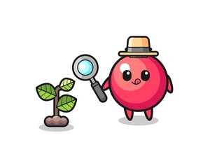 cute cranberry herbalist researching a plants