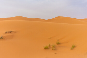 Beautiful landscape of the dunes of the Sahara Desert at dusk, Merzouga, morocco