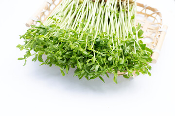 Pea Sprouts in bamboo basket on white background.