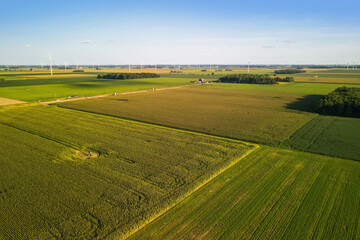 Obraz premium Aerial view of Soy bean fields in Michigan countryside