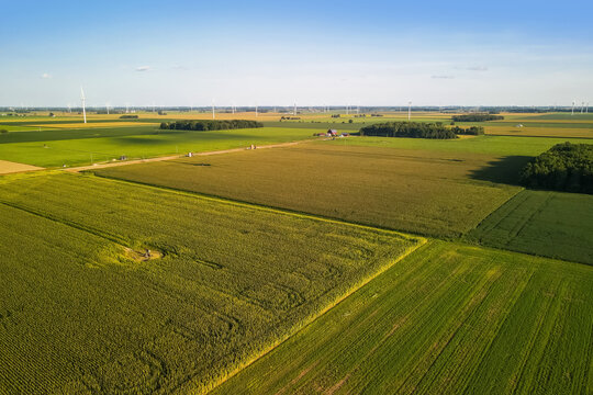 Aerial view of Soy bean fields in Michigan countryside © SNEHIT PHOTO