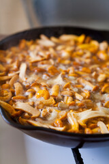 Chanterelle -  delicious edible mushrooms cooking in the iron frying pan.