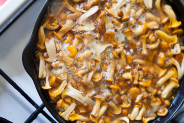 Chanterelle -  delicious edible mushrooms cooking in the iron frying pan.