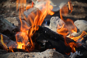 Campfire in the forest