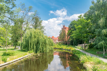 Fototapeta premium Summer view on Wierzyca river in city park of Starogard Gdanski.