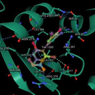 Structure of the thyroxine-binding globulin complex active site with thyroxine and labeled interacting amino acid residues. 3D cartoon model, PDB 2ceo, black background