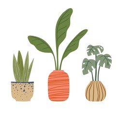 Tropical plants in stylish pots and pots. Vector illustration.