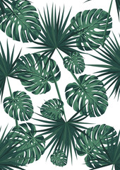 Tropical Leaf Pattern