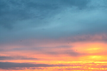 Ciel embrasé au crépuscule