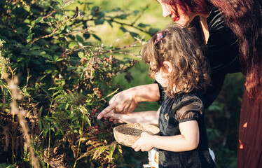 Young mother pointing with a finger to her little daughter the ripe blackberry she has to pick from...