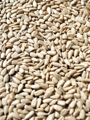 Naklejka premium 유기농 해바라기씨, 음식, 요리재료