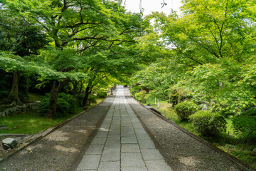 長い参道