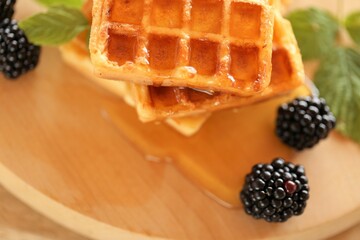  Belgian waffles with honey and blackberries.Tasty breakfast.Waffles close-up, drips of liquid...