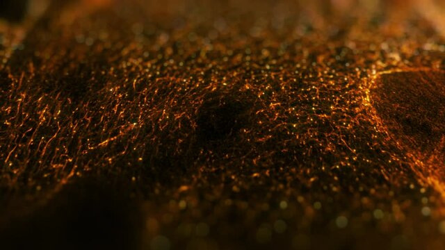Gold particles floating in liquid on black background. Abstract motion background shining, magical particles with bokeh. Seamless 4K loop