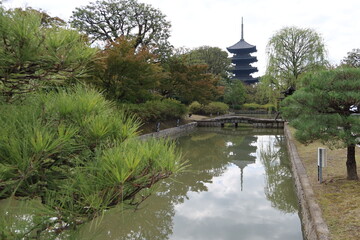 Temples and Shrines in Kyoto in Japan 日本の京都にある神社仏閣 : the pond and Five-story tower in the precincts of To-ji Temple 　東寺の境内の風景と五重塔