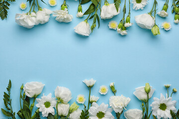 Beautiful white flowers on color background, closeup