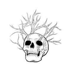 skull tree illustration vector hand drawing