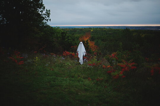 Halloween-themed image depicting a ghost in the woods. 