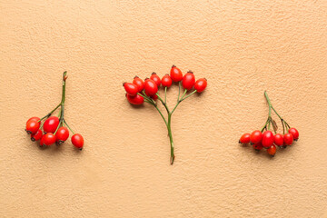 Composition with fresh rose hip berries on beige background